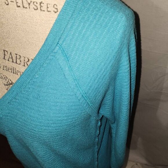 Wildfox Womens Blue V Neck Haley Brushed Short Top Sweater Medium - Picture 3 of 5